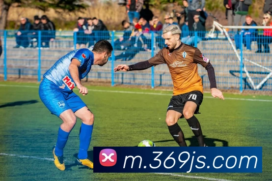 平台使命图